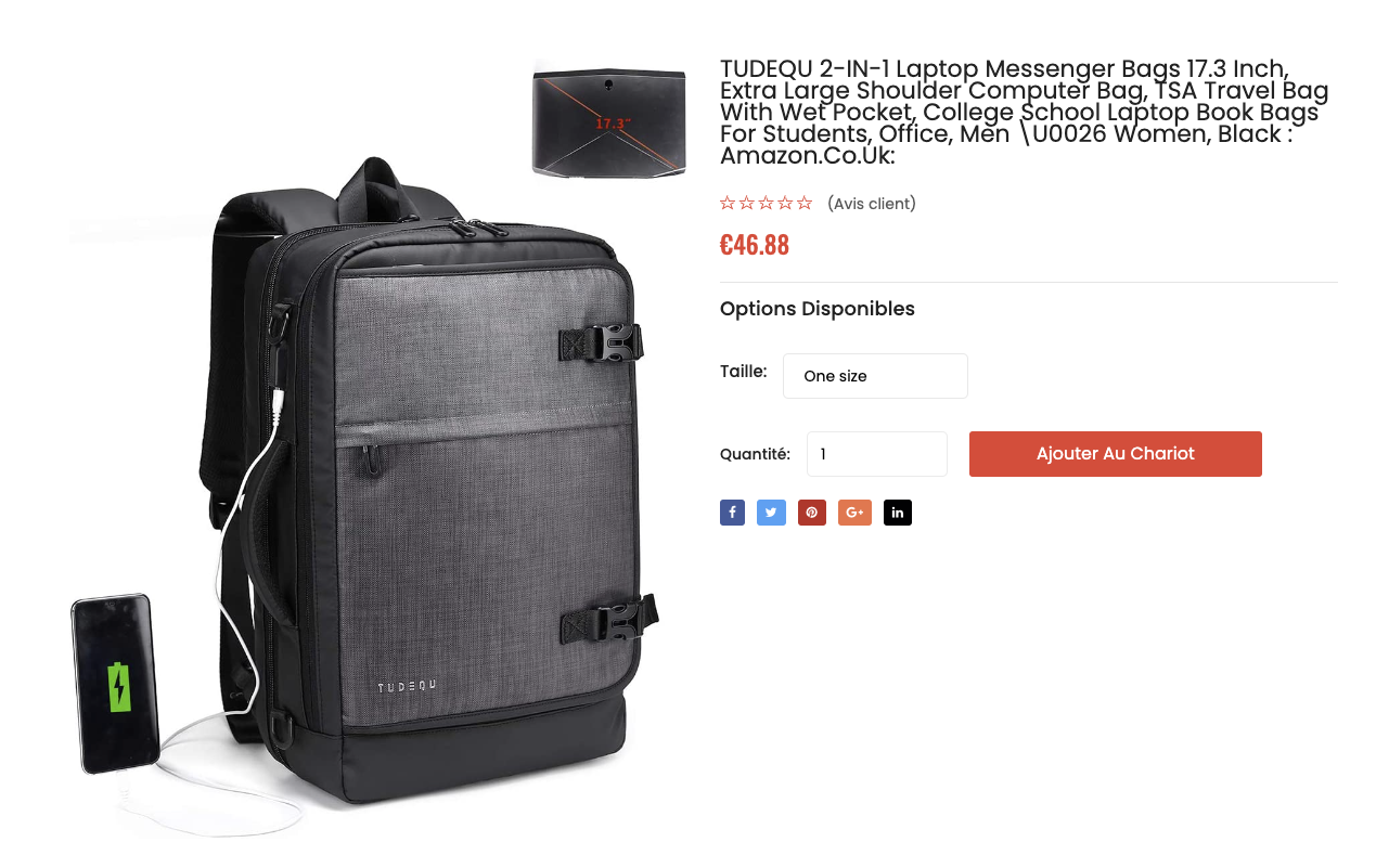 TUDEQU 2-IN-1 Laptop Messenger Bags 17.3 Inch TSA Travel Bag With Wet Pocket