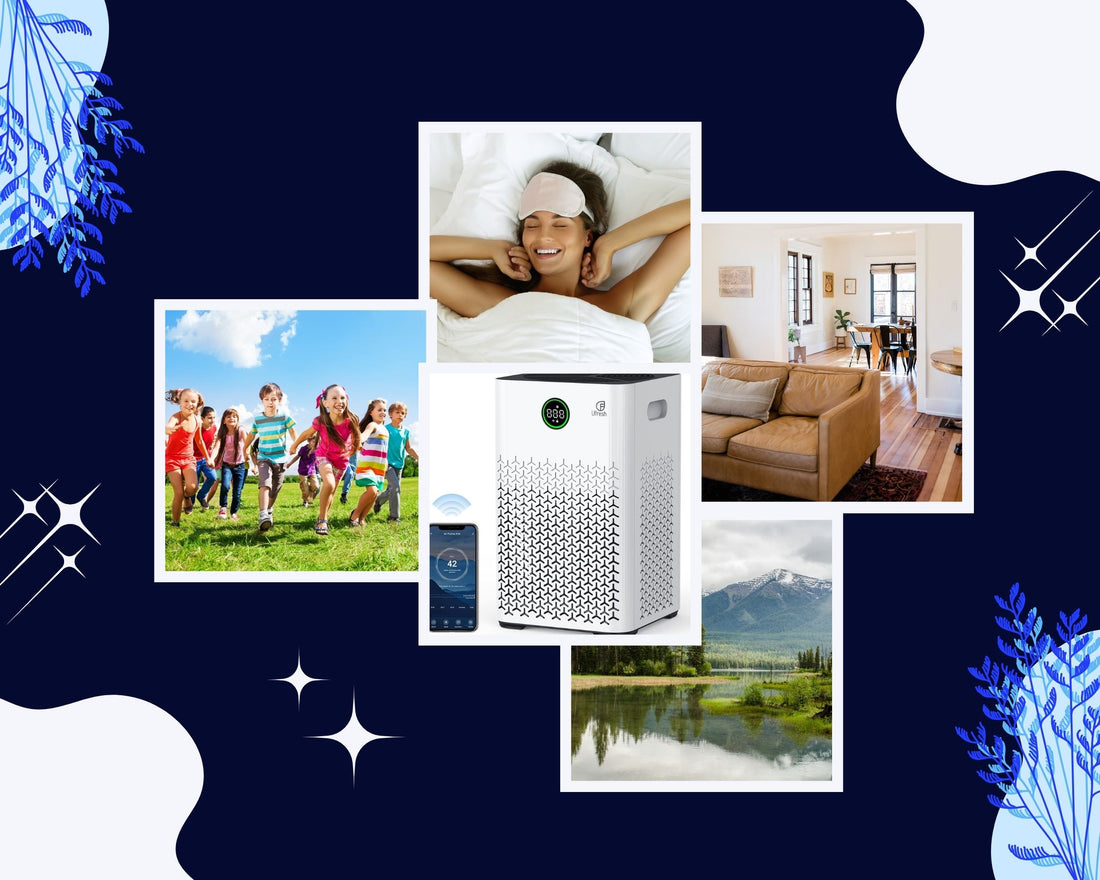 The importance of a good air purifier for the home is significant