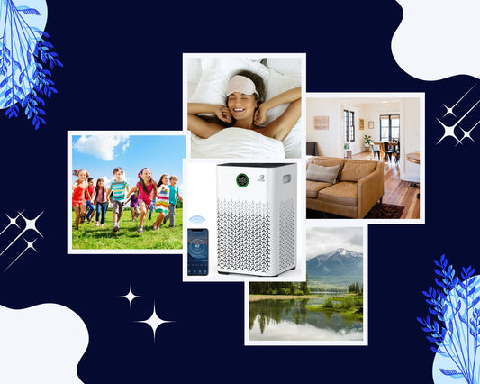 The importance of a good air purifier for the home is significant