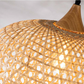 55% off Home Depot!!! Lily 1-Light Beige Pendant Design Pendant Light with Rattan Shade