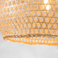 55% off Home Depot!!! Lily 1-Light Beige Pendant Design Pendant Light with Rattan Shade