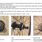Bicycle Double Wall Rims MTB Wheelset 26" 7 Speed - Compatible with Shimano MF-TZ500-7 14-34T Freewheel - Front & Back Mountain Bike Wheels